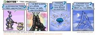 Skitter Comic | Tree Lobster Fact #488 | Spinwhiz Comics